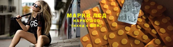apvp Верея