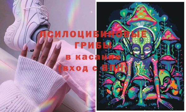 таблы Пересвет