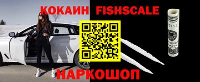твердый Кингисепп