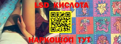 твердый Кингисепп