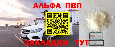 твердый Кингисепп
