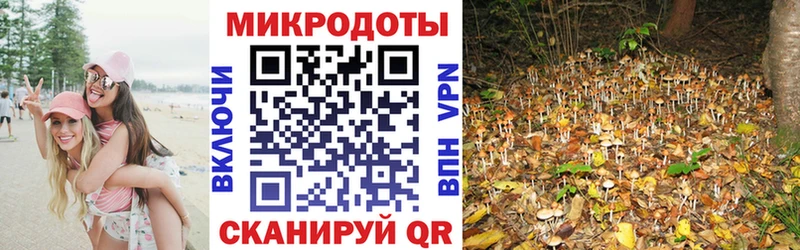 Галлюциногенные грибы ЛСД  Сургут 