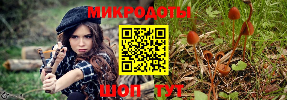 Галлюциногенные грибы MAGIC MUSHROOMS Сургут