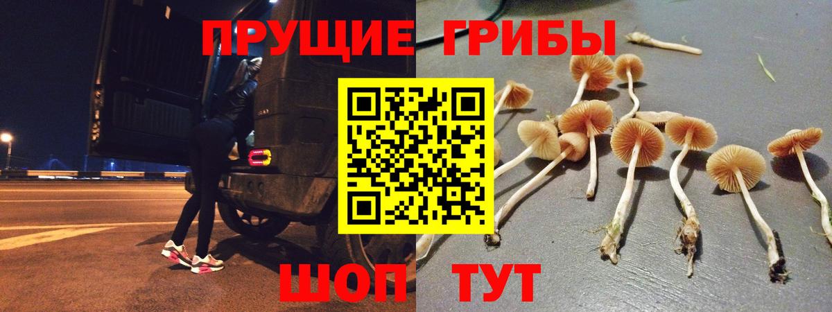 Галлюциногенные грибы ЛСД  Вход с VPN  Сургут 